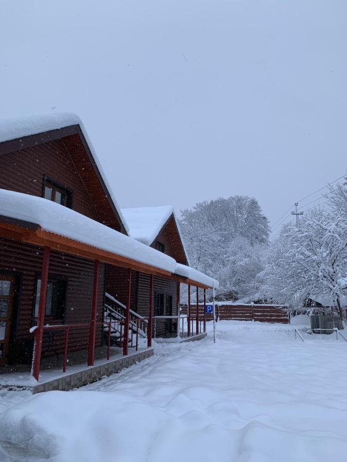 Guest House Pid Dubom Карпати Під Дубом Skole Exterior photo